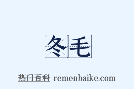 冬毛是什么意思的图片